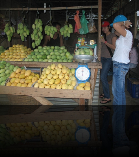 Guimaras Island - the sweetest Mangoes in the world